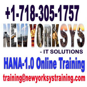 HANA Online Training by Industry Experts at Newyorksys.com