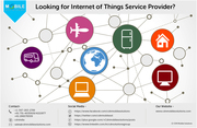 Are You Looking For Internet of Things Service Provider Company?