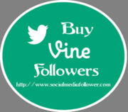 Buy Real Vine Followers To Get Distinctive Identity