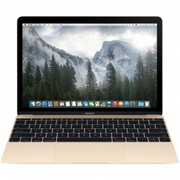 Apple MacBook MK4M2LL/A 12-Inch Laptop with Retina Display 256GB (2018