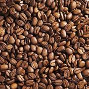 Best Quality Arabica Coffee Beans to Order