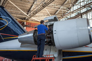 Need for Aircraft Management and Advisory Services