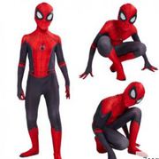 Spiderman Far From Home Halloween Costume for Adults