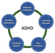 Take a look at the ADHD treatment NJ | EBL Coaching