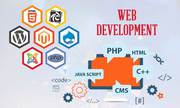  Hire Best Web Development Company NYC,  USA 