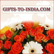 Online Holi Gift Delivery in India Same Day