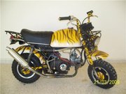 Honda Gorilla Tiger 110cc