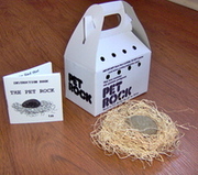 Christmas Gifts 2010 for Kids Men Women - Original Pet Rock Throwback